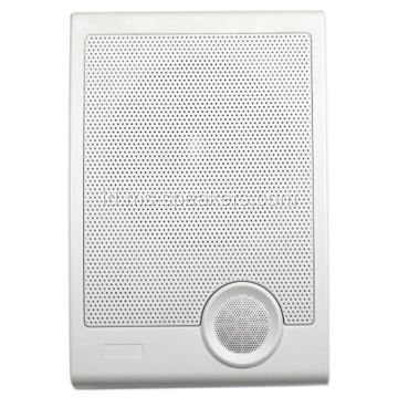 Profesional Indoor 5/10W Wall Hanging Speaker